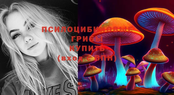 спайс Алексеевка