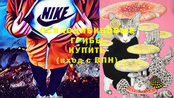 спайс Алексеевка